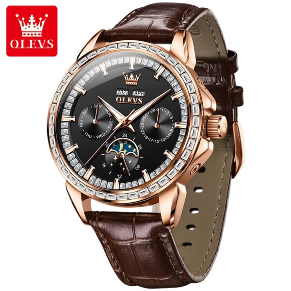 multifunctional design luminous waterproof fashion leather luxury automatic mechanical watch for man - Image 3