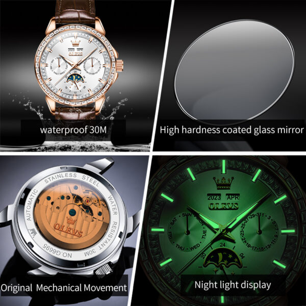 multifunctional design luminous waterproof fashion leather luxury automatic mechanical watch for man - Image 9